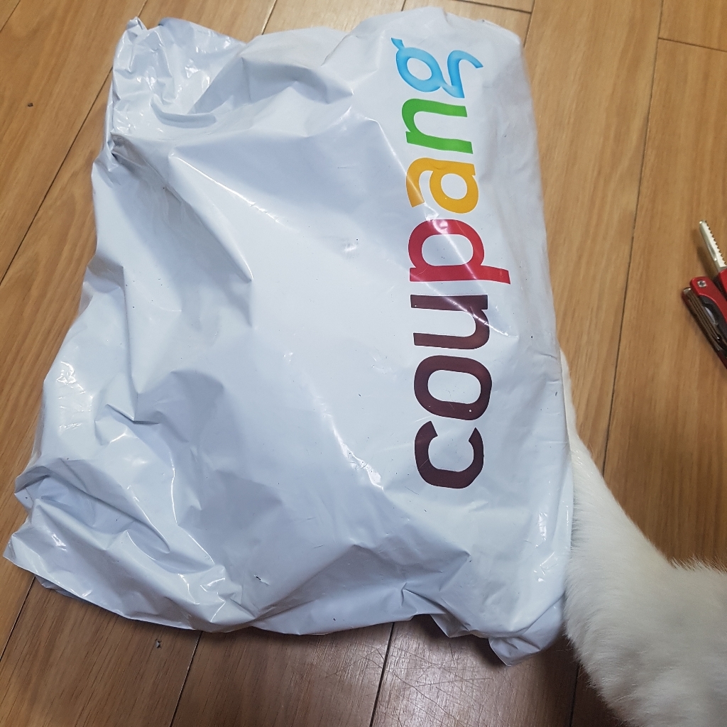 폴메디슨 딥레드 패스트 탈모 샴푸 화이트머스크향 할인 리뷰 후기