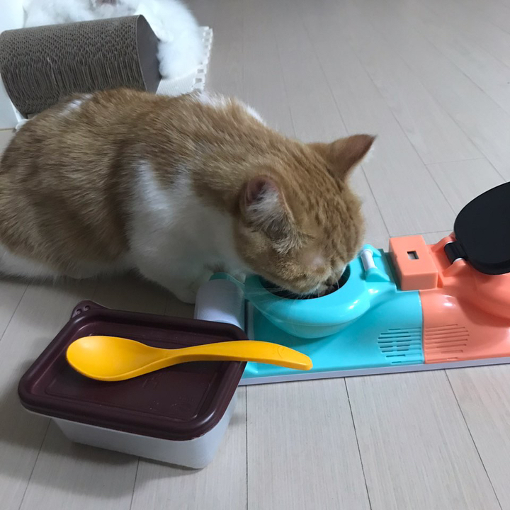 해즈브로 게임 복불복 변기통2