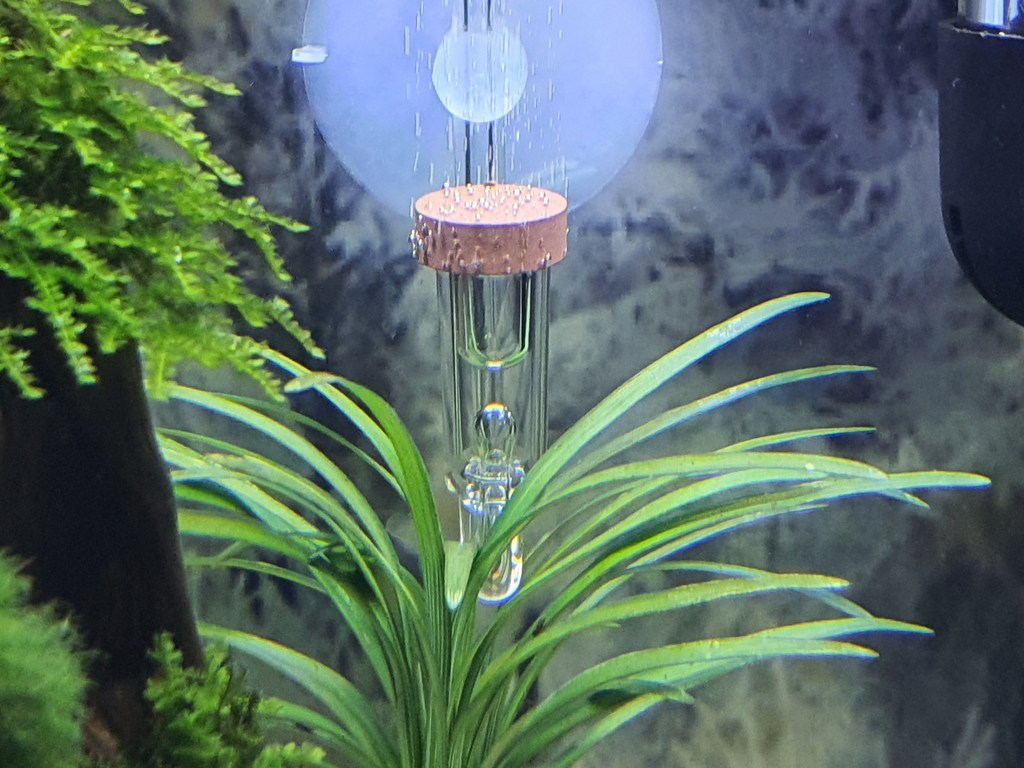 아마존 CO2 디퓨져