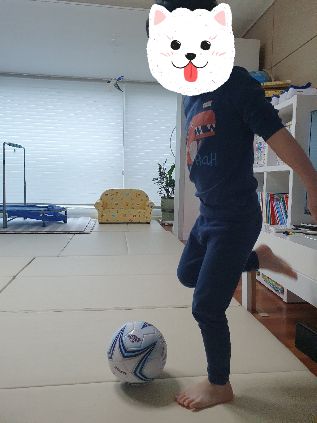 스타스포츠 아크틱 축구공