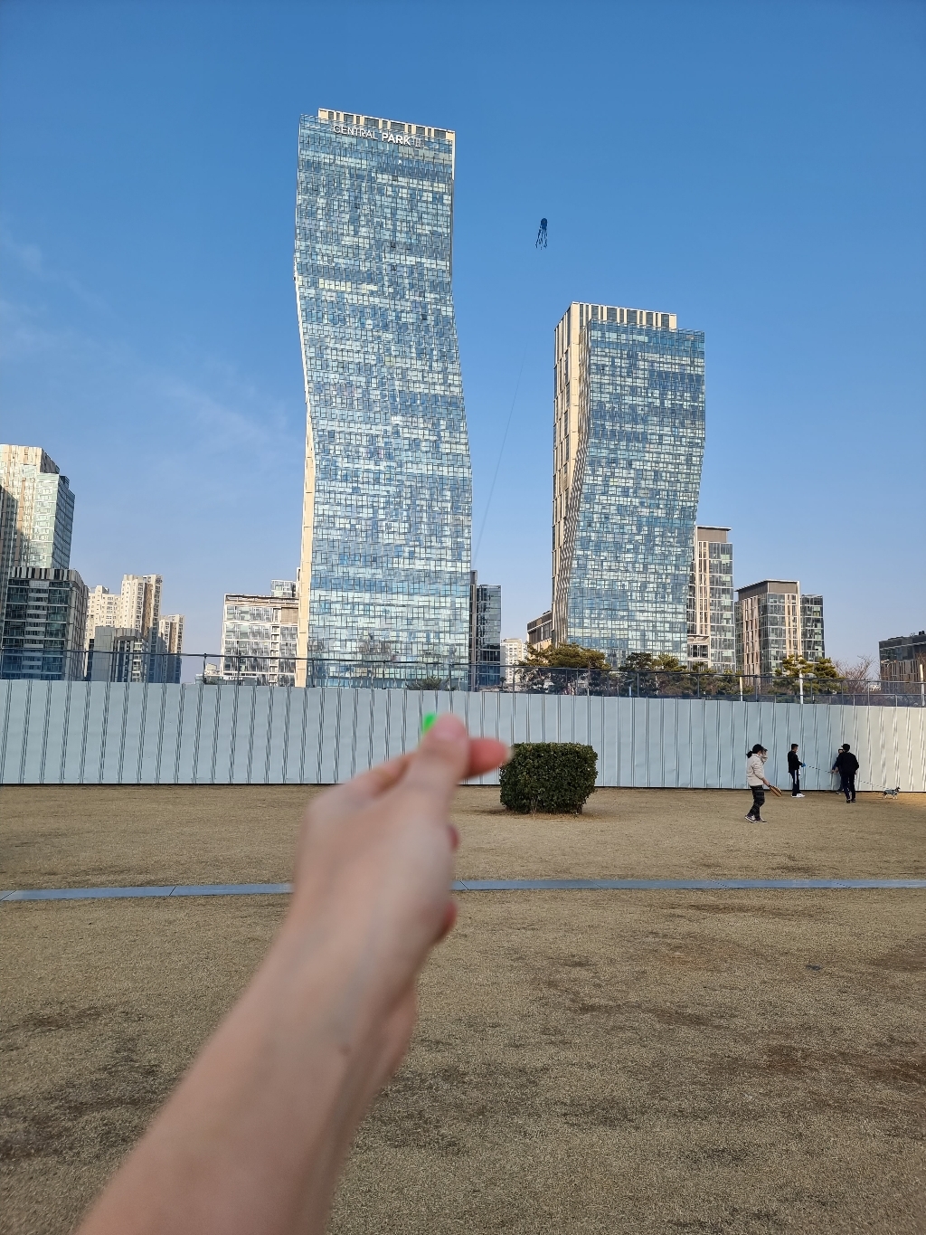 IKITE 롱다리문어블루 디자인연