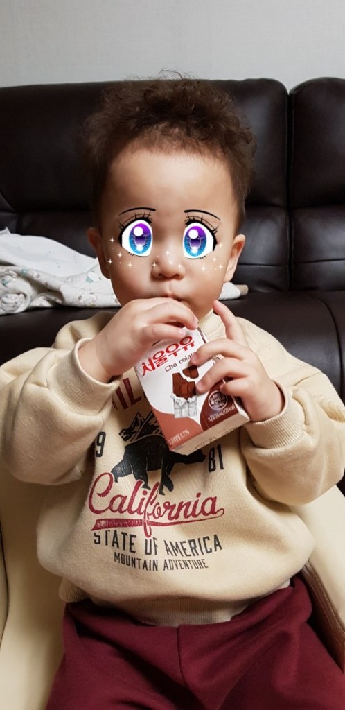 서울우유 멸균 초콜릿 우유