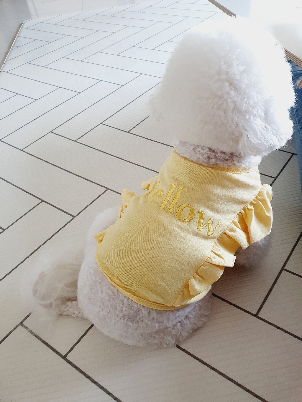 에이미러브즈펫 페인트 크롭 티셔츠