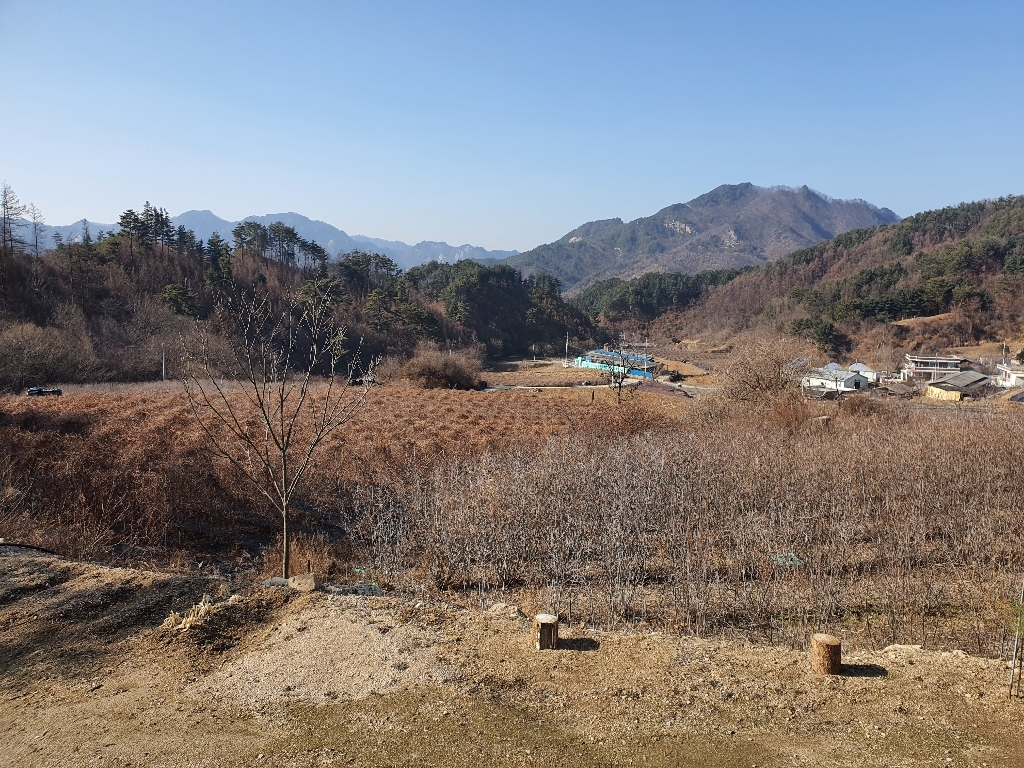 INSA 48V Ah 무선 충전식 전동전지가위 리뷰 후기