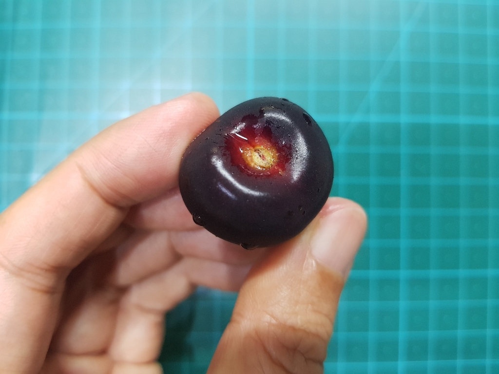 칠레 체리 리뷰후기