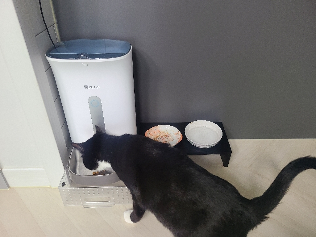 페토이 반려동물 고양이 강아지 자동급식기 HT-003