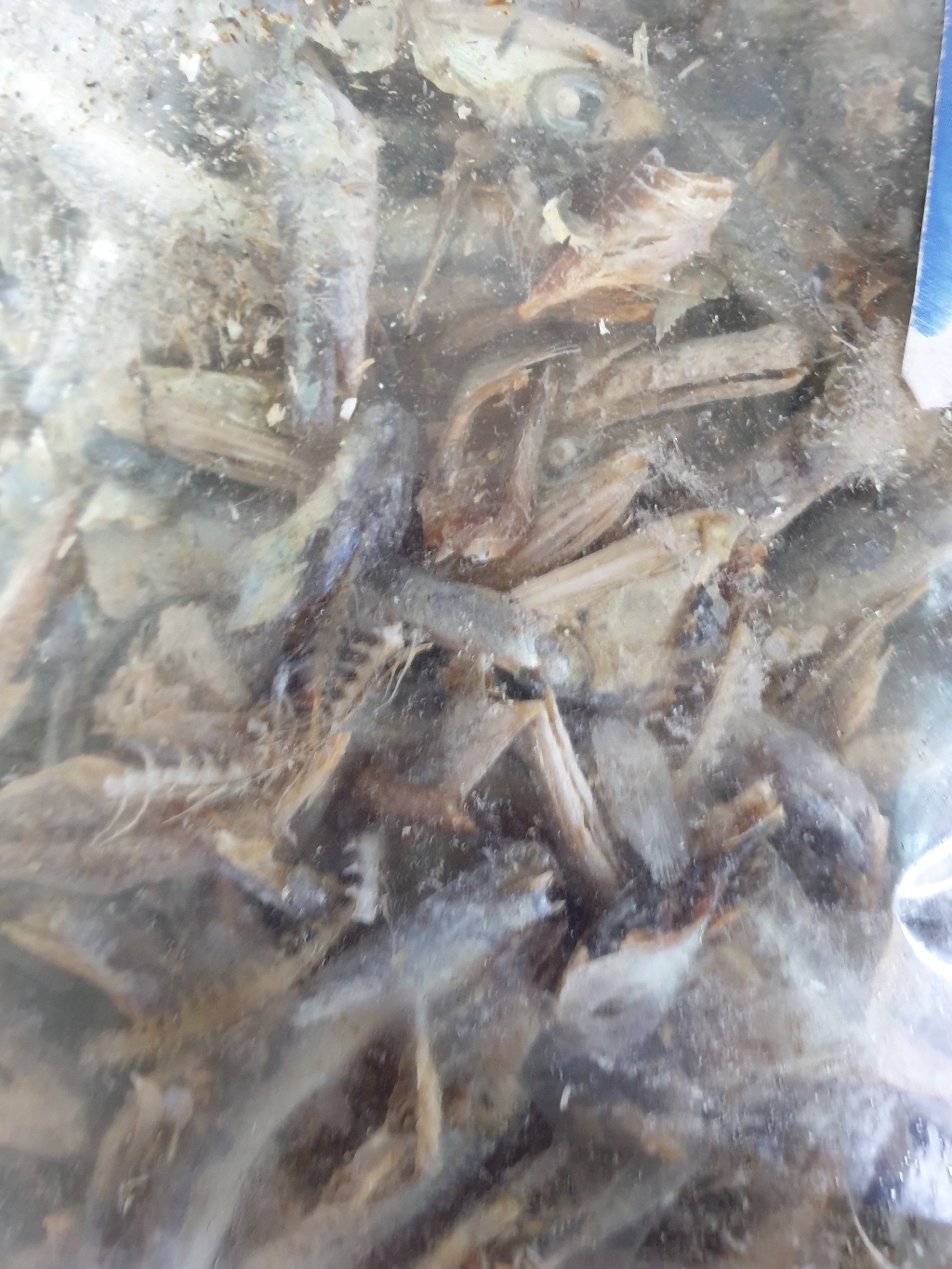 바다원 국내산 구운 멸치