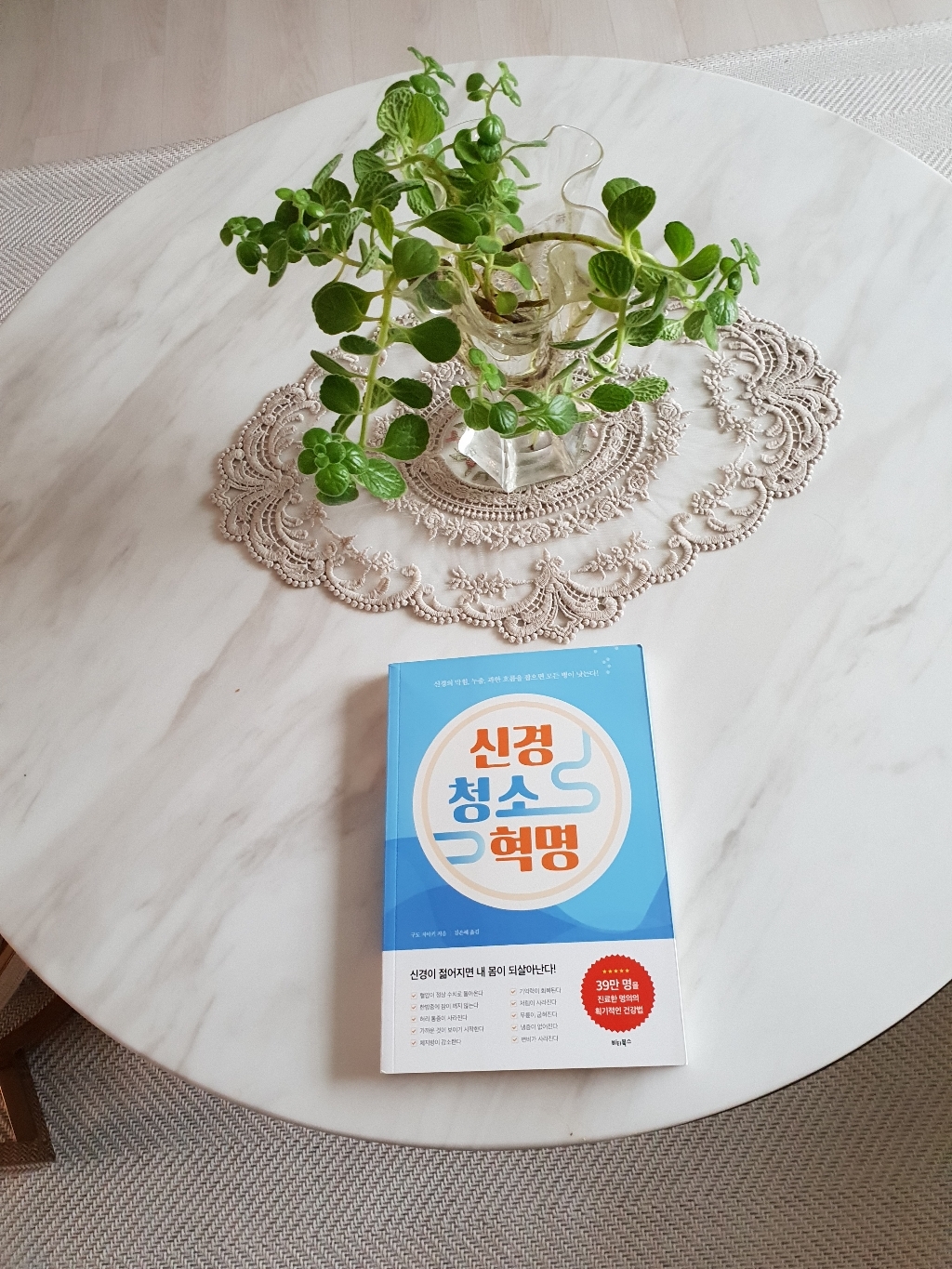 신경 청소 혁명:신경의 막힘 누출 과한 흐름을 잡으면 모든 병이 낫는다!