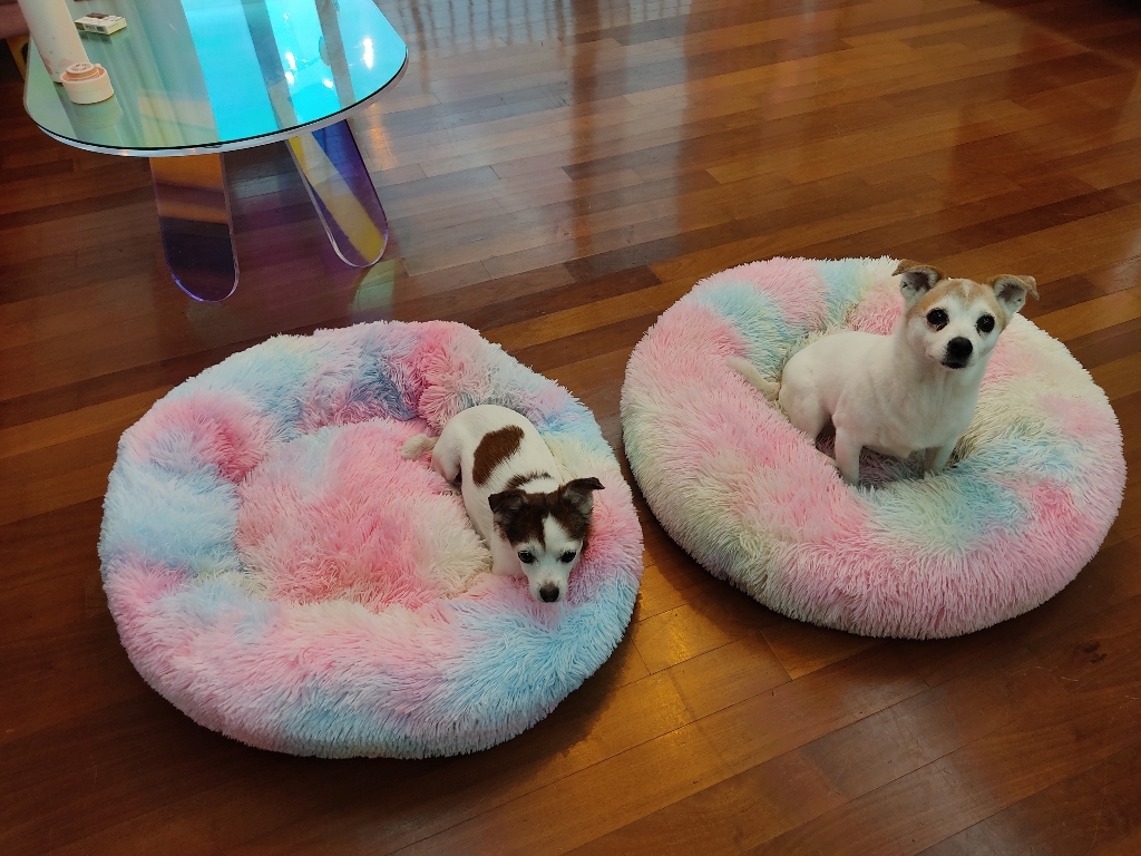 강아지 고양이 도넛방석 - 대형견 도넛 쿠션 배변통