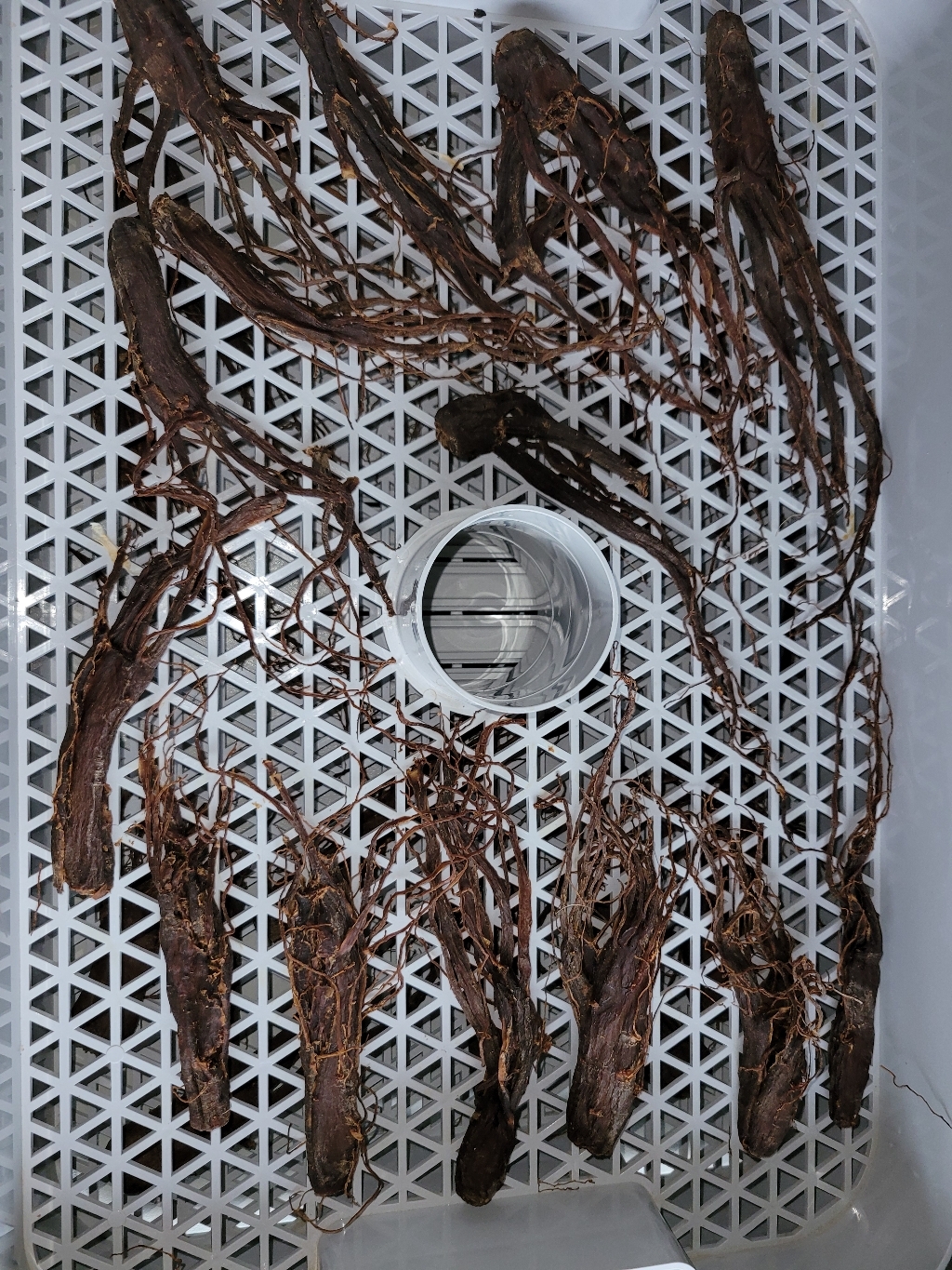 [] 금산 인삼 바른인삼 6년근 5년근 난발삼