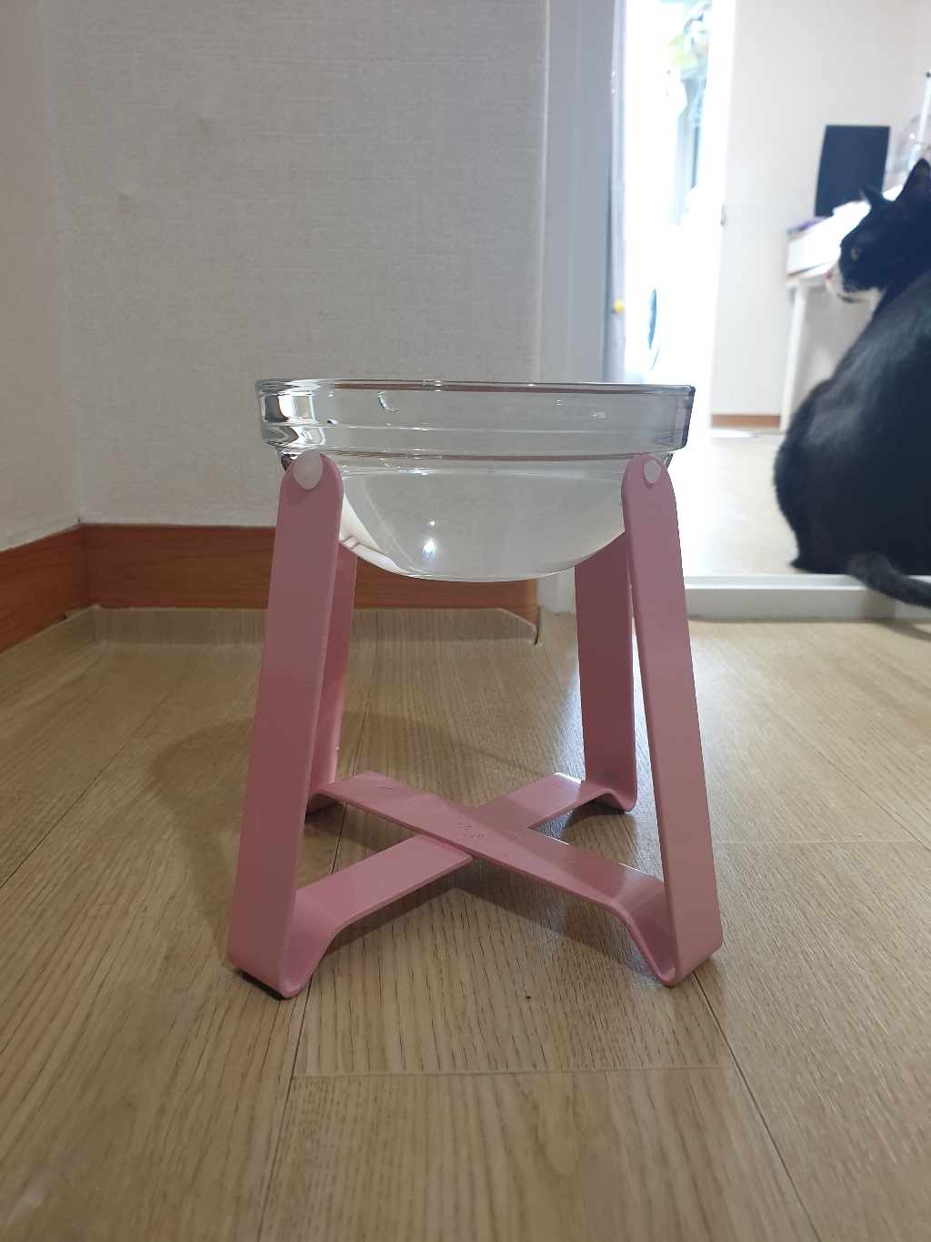 반려동물 아일랜드 세라믹식기 L 리뷰후기