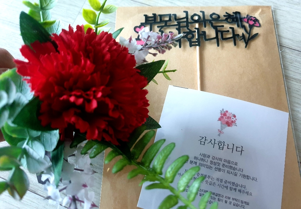 Dear y friend 카네이션 코사지 브로치 어버이날 감사의 마음으로 달아드려요 빨강 분홍