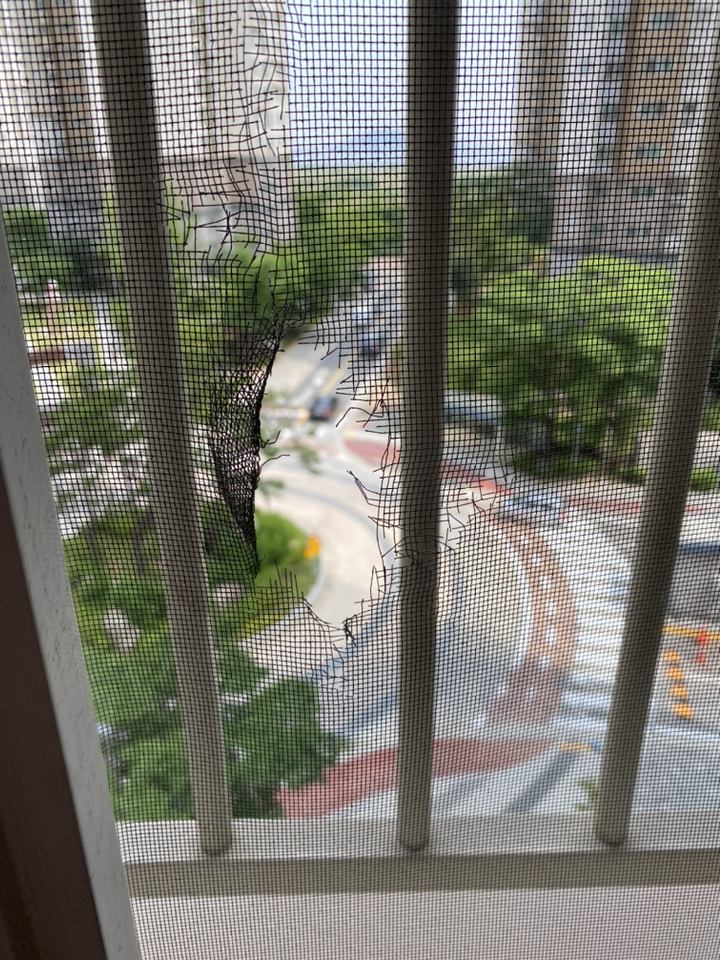 바로 방충망 보수용 테이프