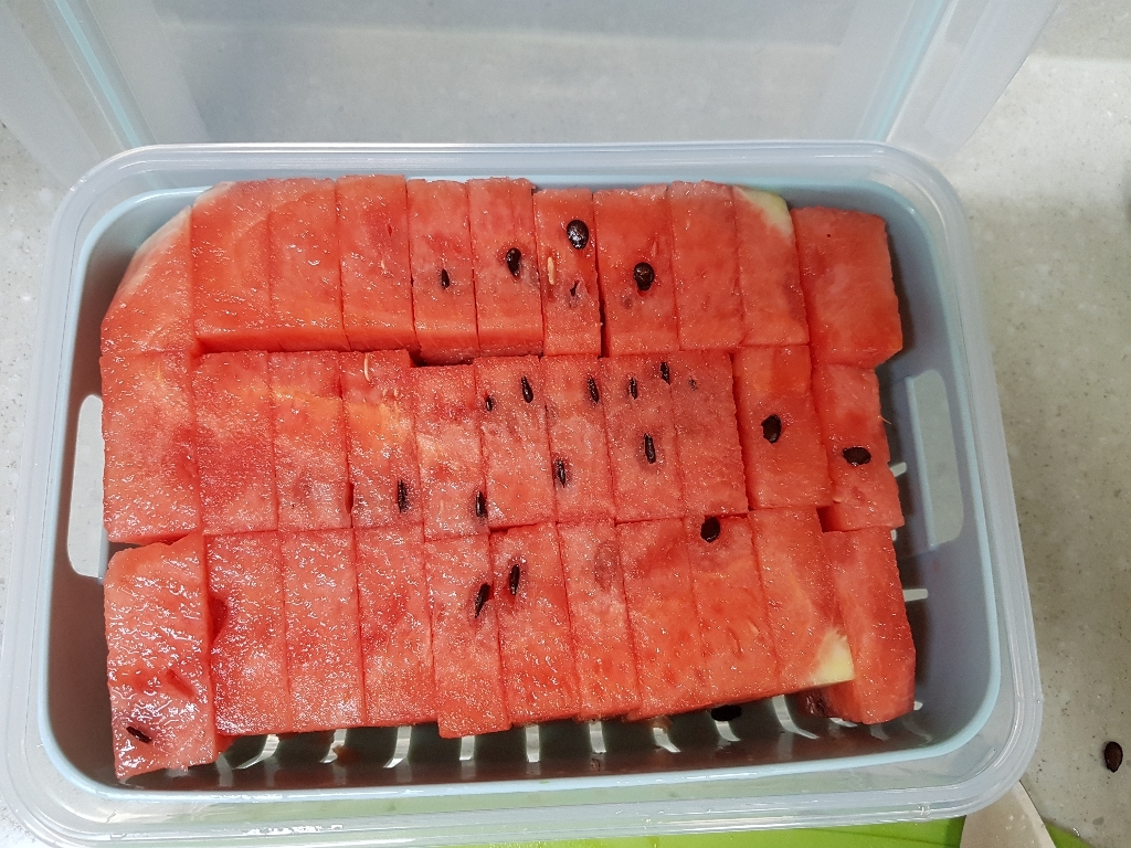 나누담 과일 야채 채소 보관 물빠짐 채반 밀폐용기 2 하늘색