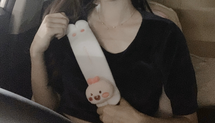 카카오프렌즈 안전벨트 커버 라이언 어피치 리뷰 후기