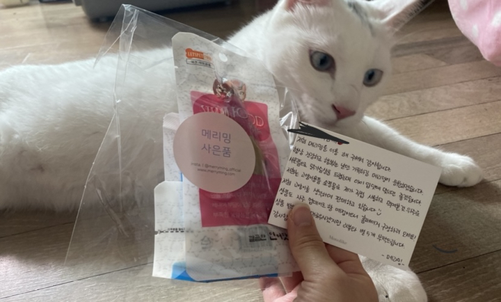 캐티맨 쟈레네코 다다다 냥이콥타 헬리콥터 고양이 장난감
