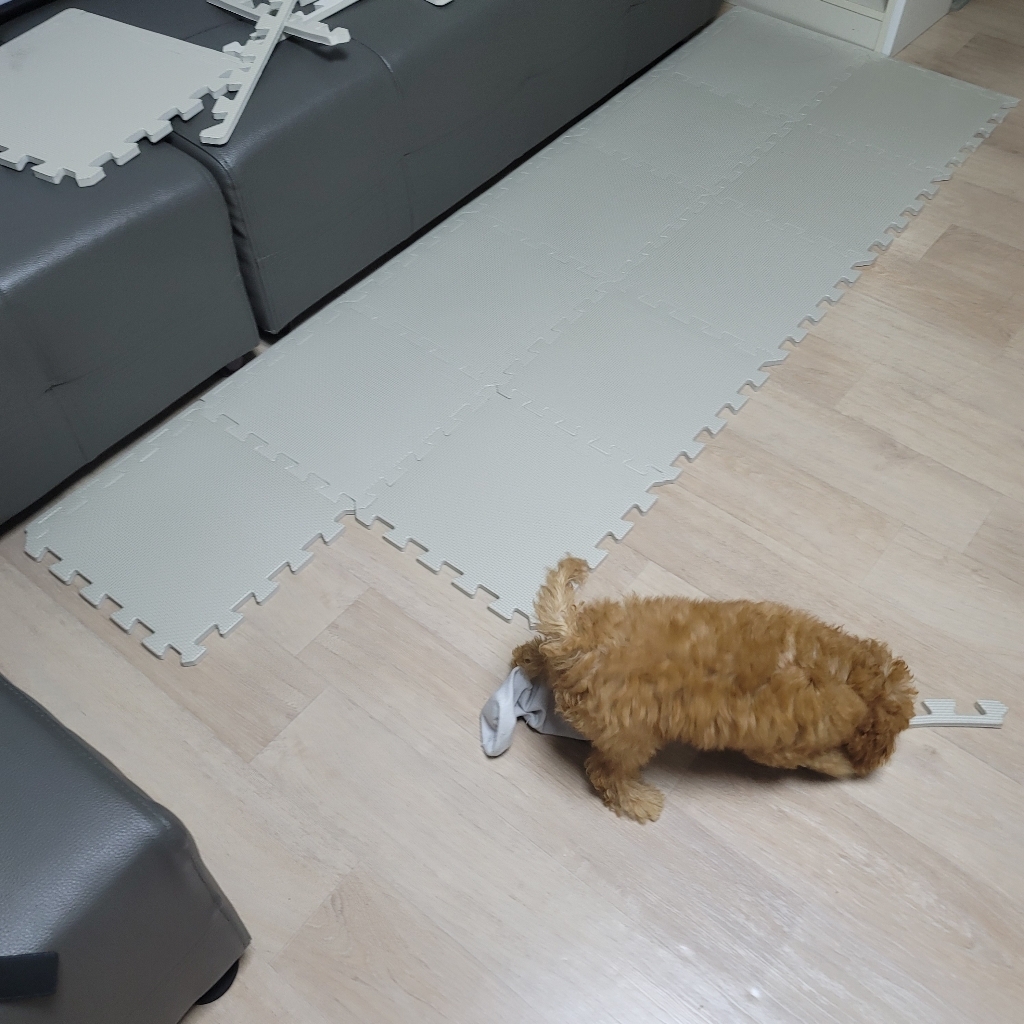 딩동펫 반려동물 퍼즐매트