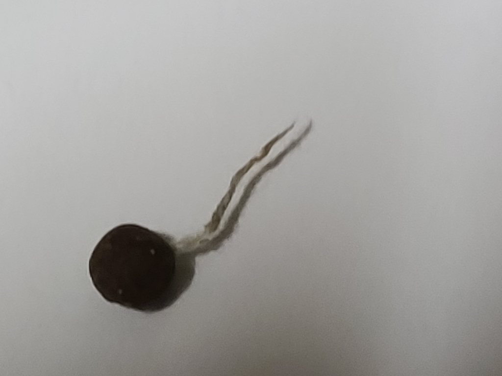 토종마을 여주환
