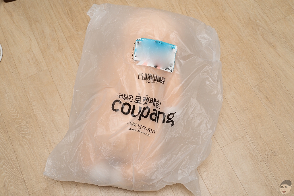 이몽 찹쌀 인형 바디필로우 누렁이 리뷰후기