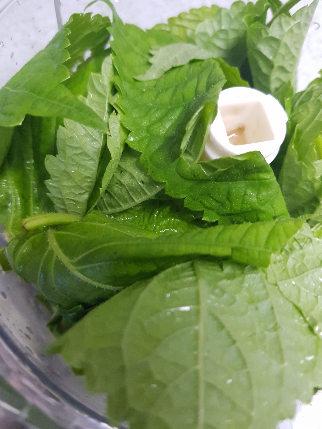 국내산 친환경 깻잎 리뷰후기