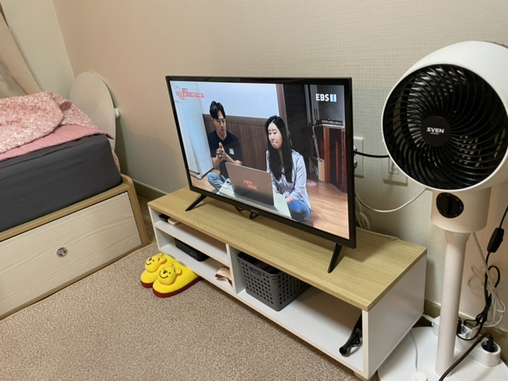 유맥스 HD DED TV