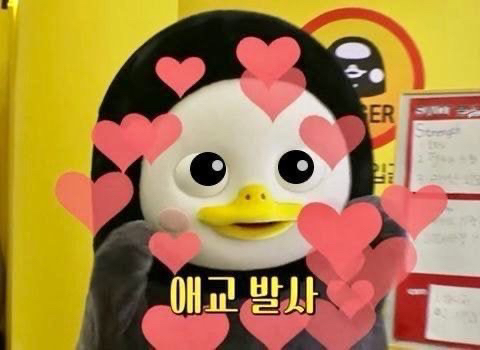 트레빌 S 하드캐리어 네임택 에어목베개 리뷰후기