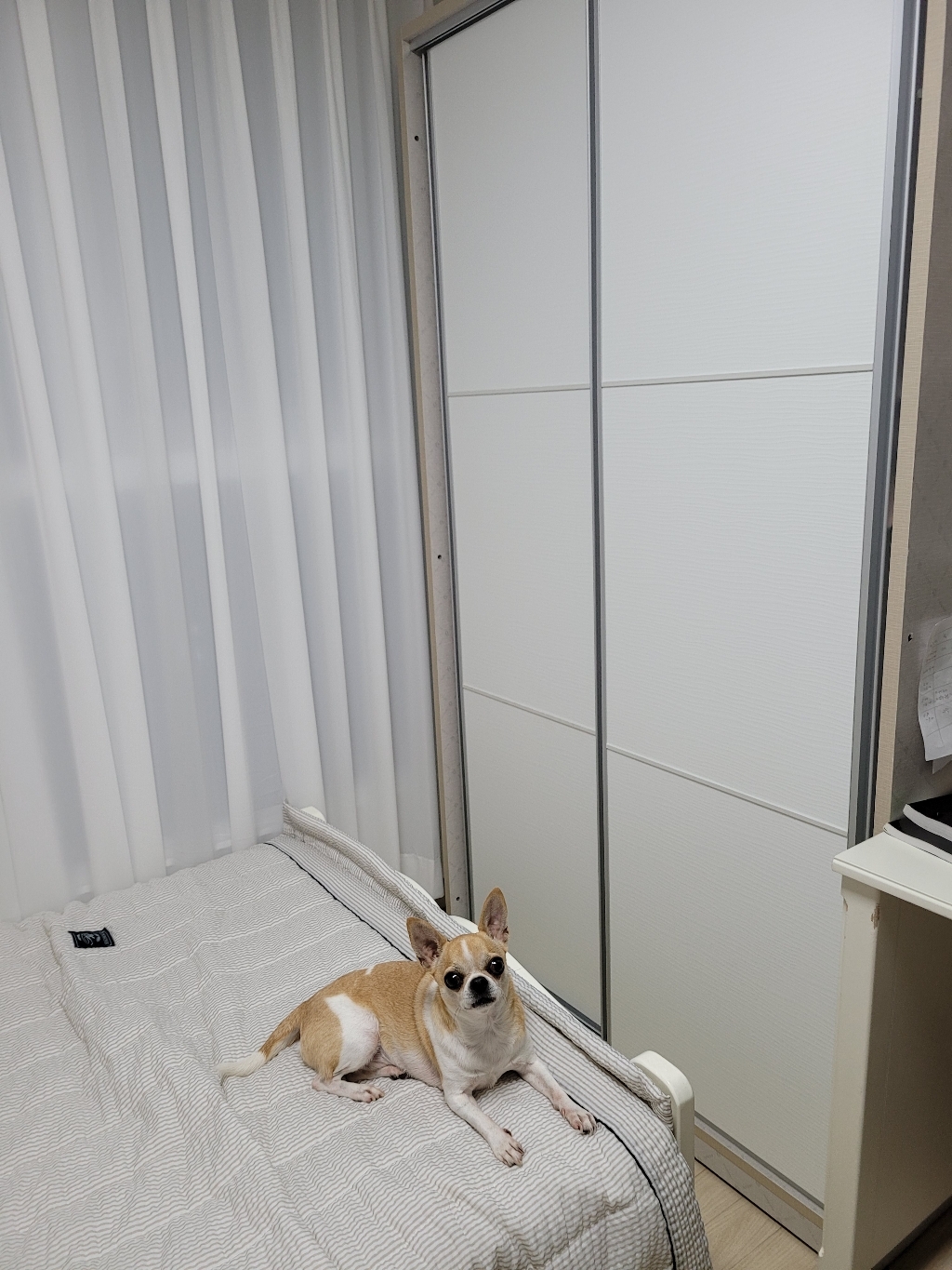 보넬가구 라파 슬라이딩옷장 옷장 슬라이딩장롱 슬라이드옷장 장롱 장농