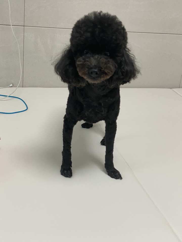메이튼베이비 폴더매트