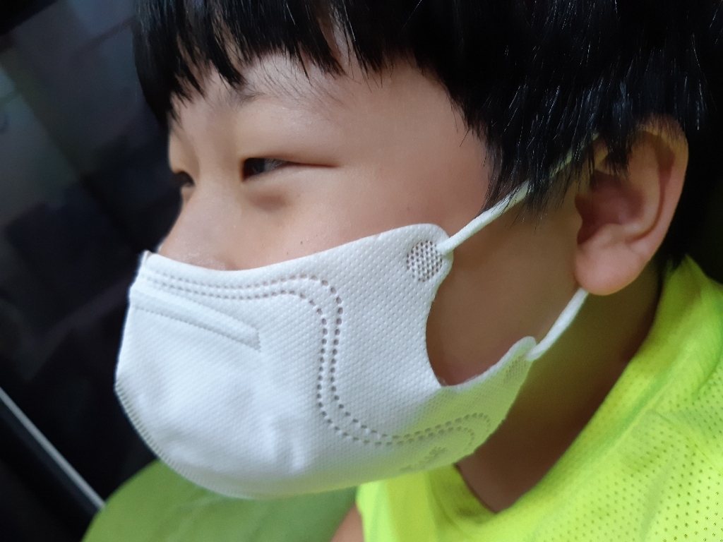 블루인더스 블루본 kf94 방역마스크 대형