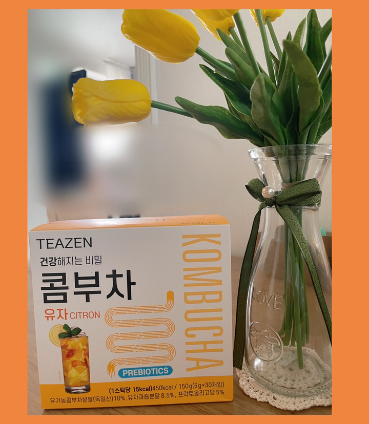 티젠 콤부차 유자 리뷰 후기