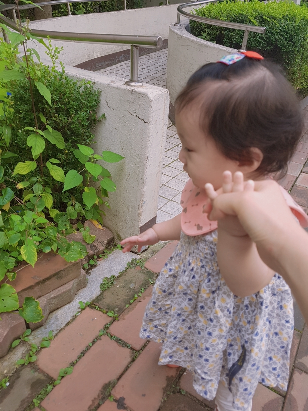 채니봉봉 레드베리 헤어핀 8종