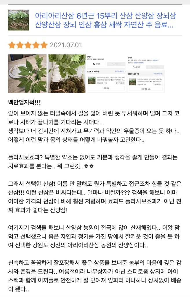 아리아리산삼 6 8 10년근 15뿌리 산삼 장뇌삼 산양삼 산양산삼 자연산 주 장뇌