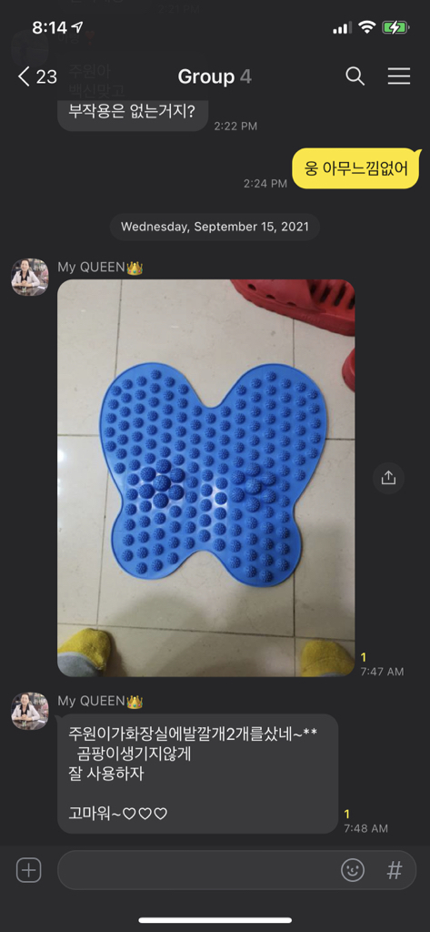 나비형 지압 발 마사지 매트 2종