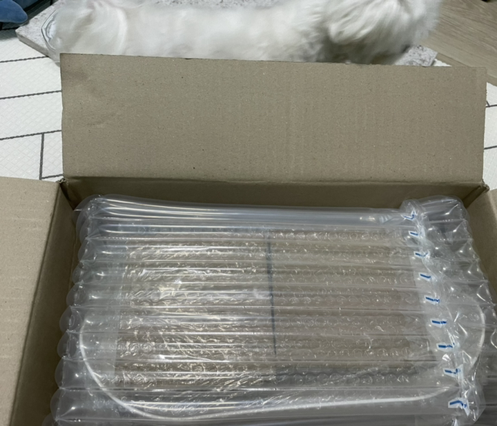 도그아이 강아지 고양이 밥그릇 타이디 식기세트