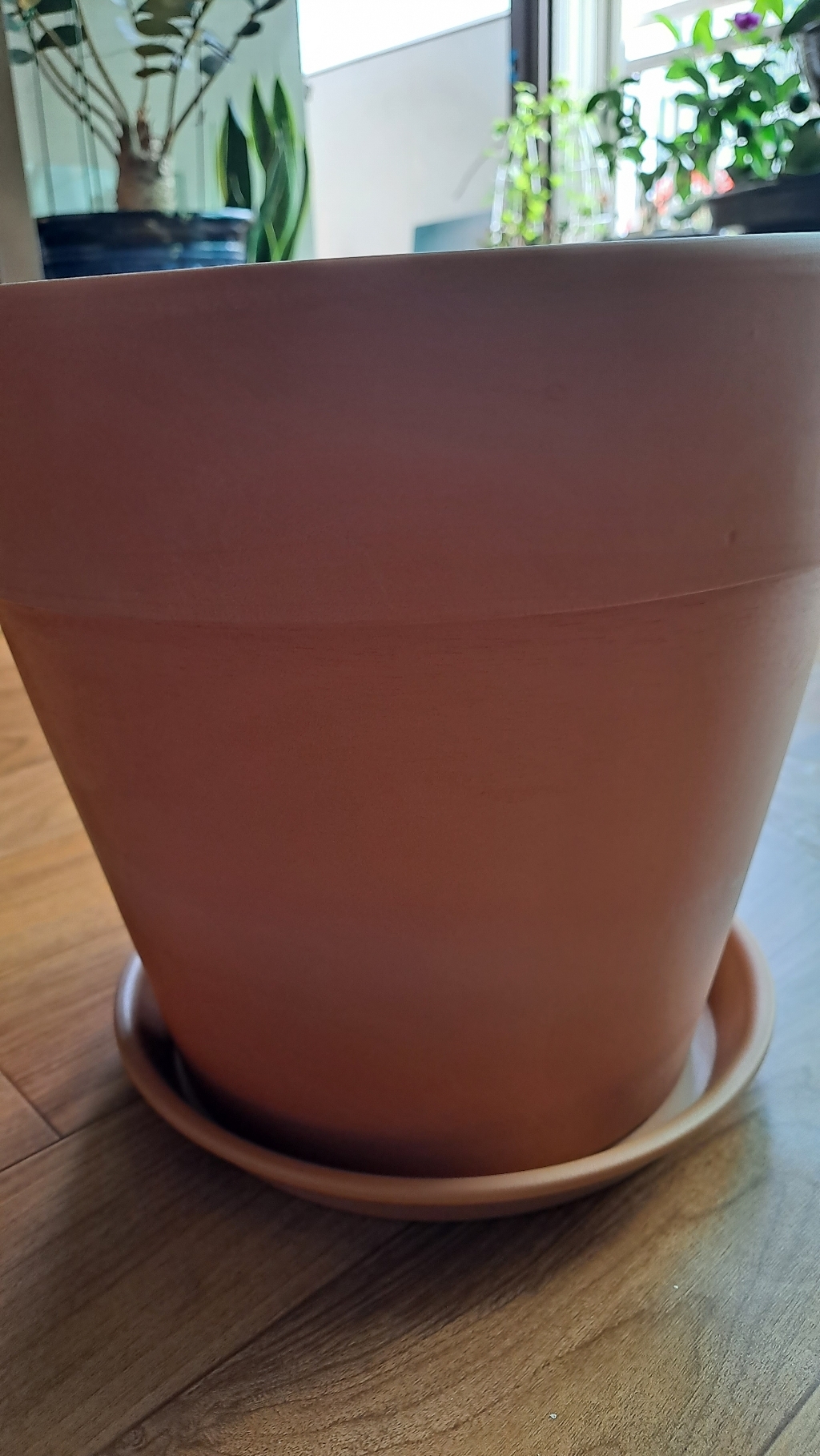 컷앤포트 토분 토기 화분