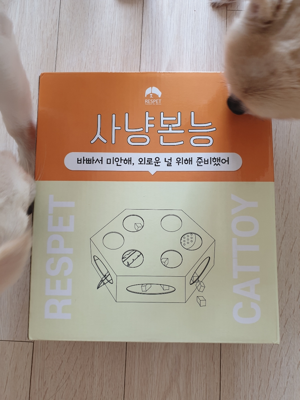 리스펫 사냥본능 고양이 자동 장난감 리뷰후기
