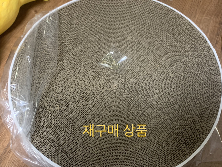 스펜서 고양이 원형 스크래쳐 대형
