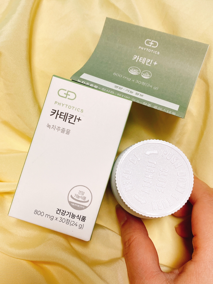 피토틱스 카테킨