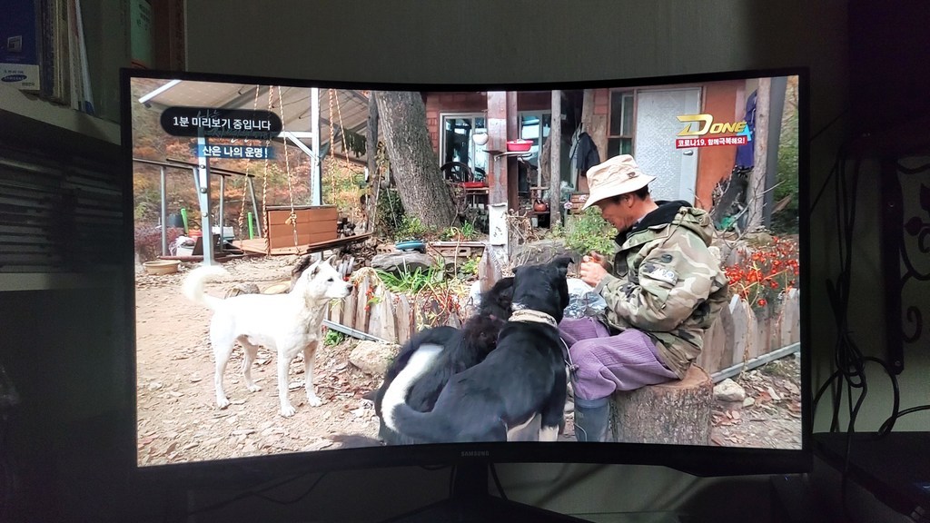 삼성전자 QHD 오디세이 5 게이밍 모니터
