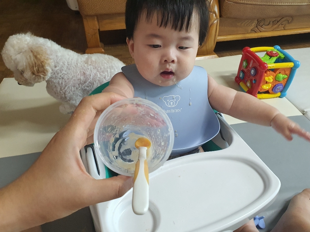 릿첼 TI 소프트초기 이유스푼 소