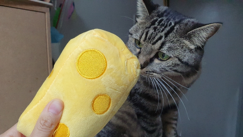요기쏘 고양이 치즈 캣닢 인형