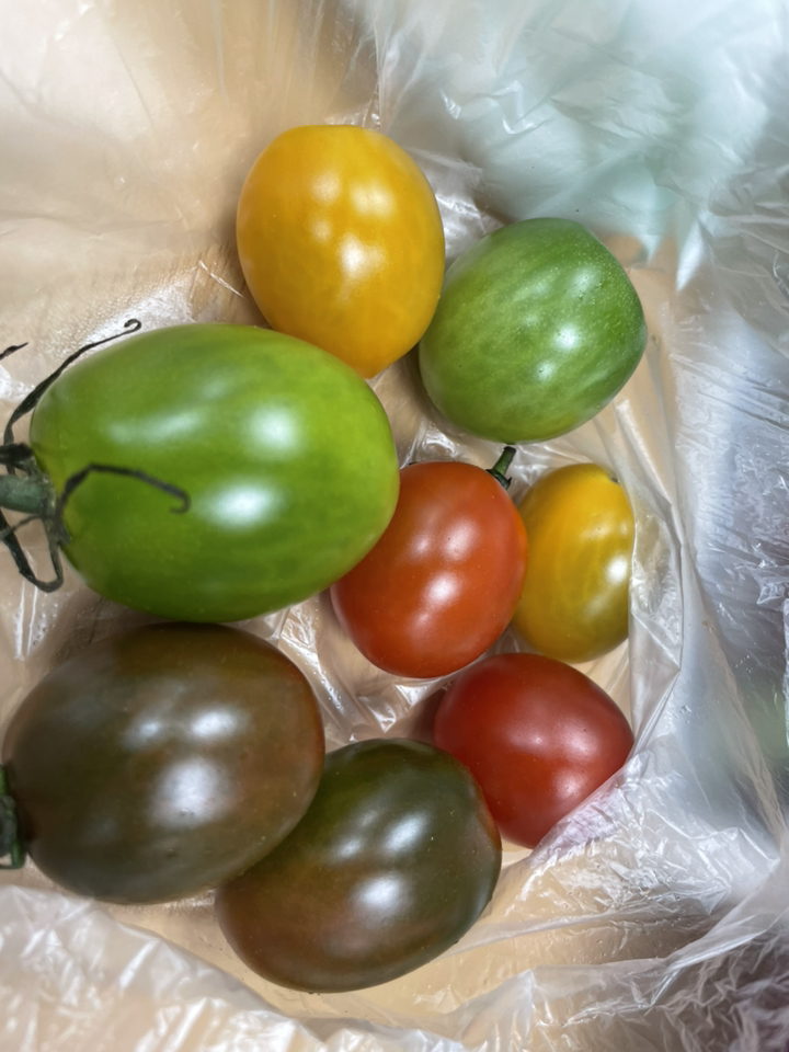 ONLYFARM 칼라 대추방울토마토 리뷰후기