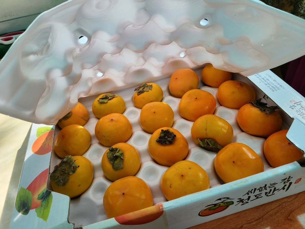 산지직송 청도반시 씨없는 홍시 중과 대과 특대과 2 리뷰후기