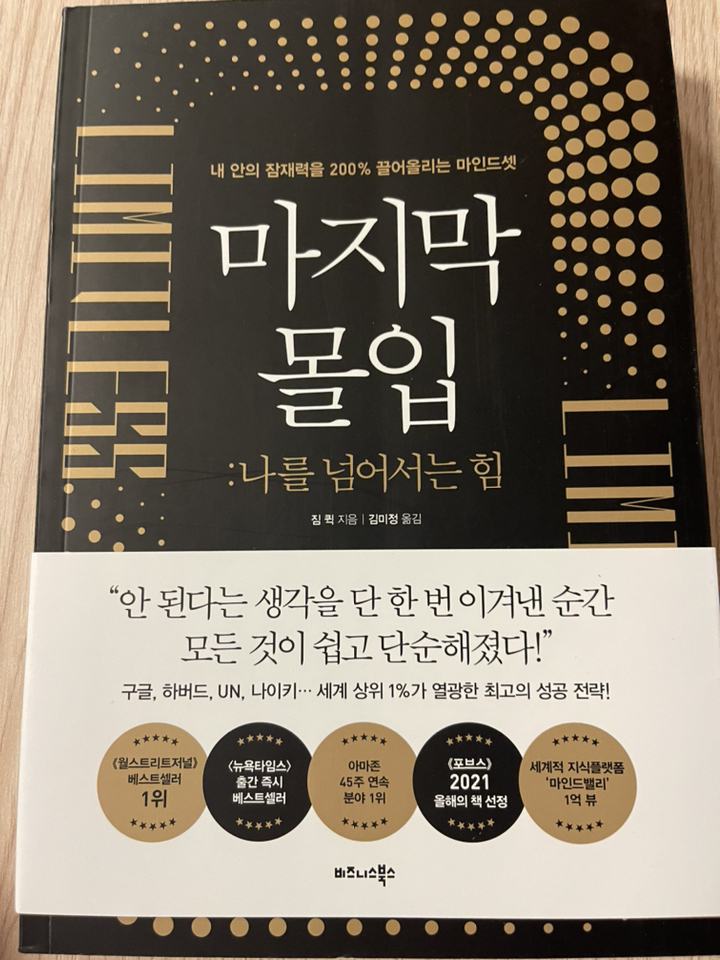마지막 몰입: 나를 넘어서는 힘:내 안의 잠재력을 끌어올리는 마인드셋