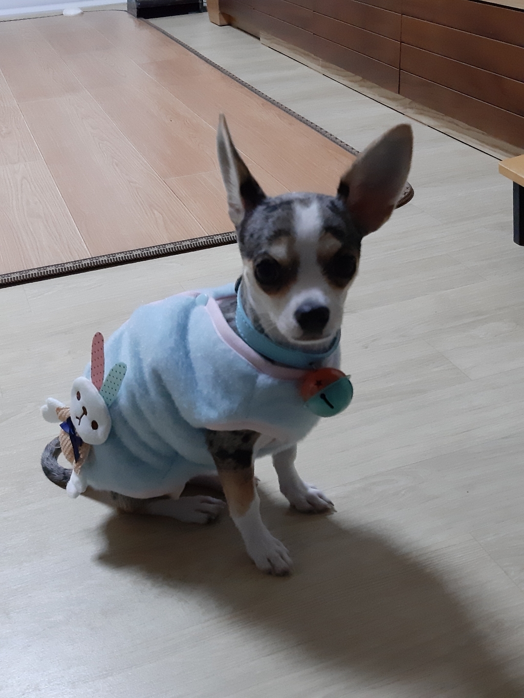 코코스튜디오 예쁜 강아지옷 고양이 토끼 플리스 조끼