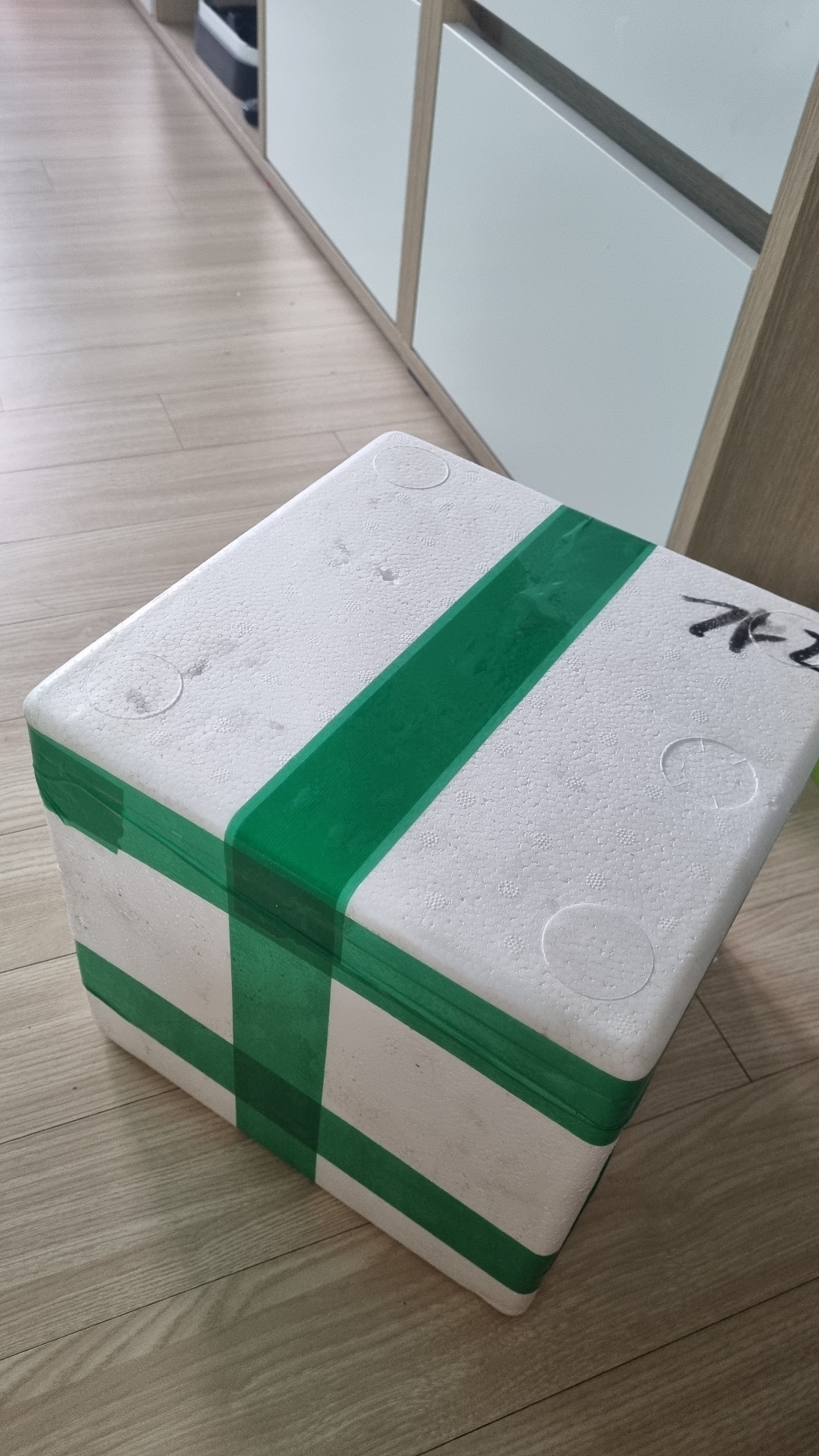 통영 제철 홍가리비