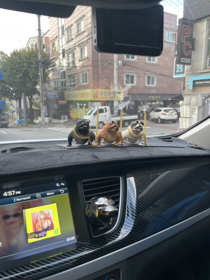 리젠스 차량용 대쉬보드 장식품 인테리어 피규어 강아지 차량 불독 미끄럼방지 패드