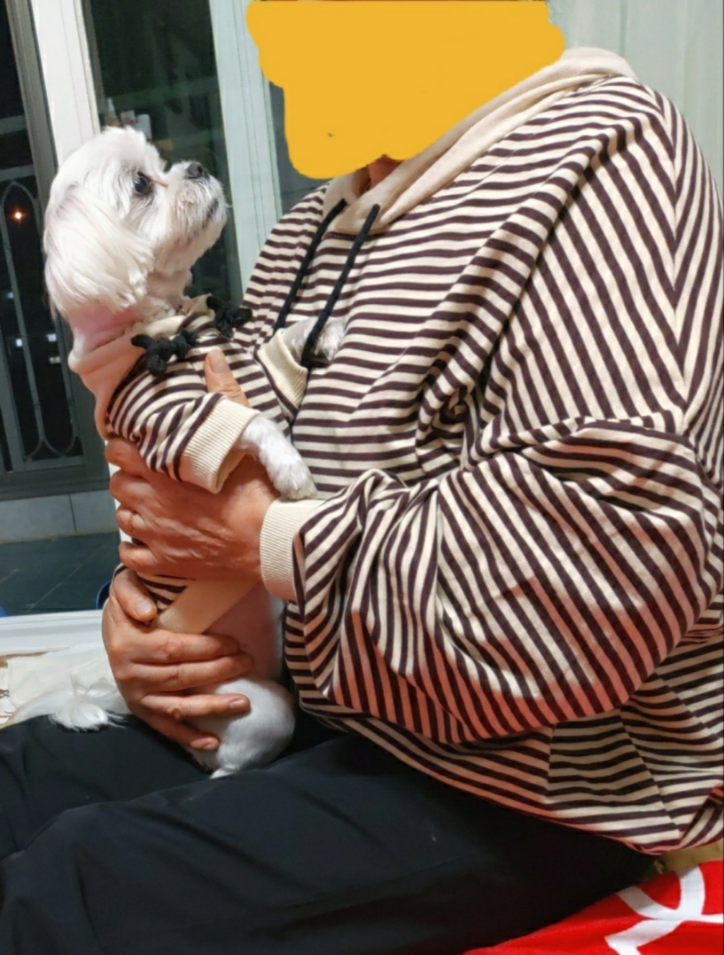 도그월드 강아지 견주 커플룩 스트라이프 후드티