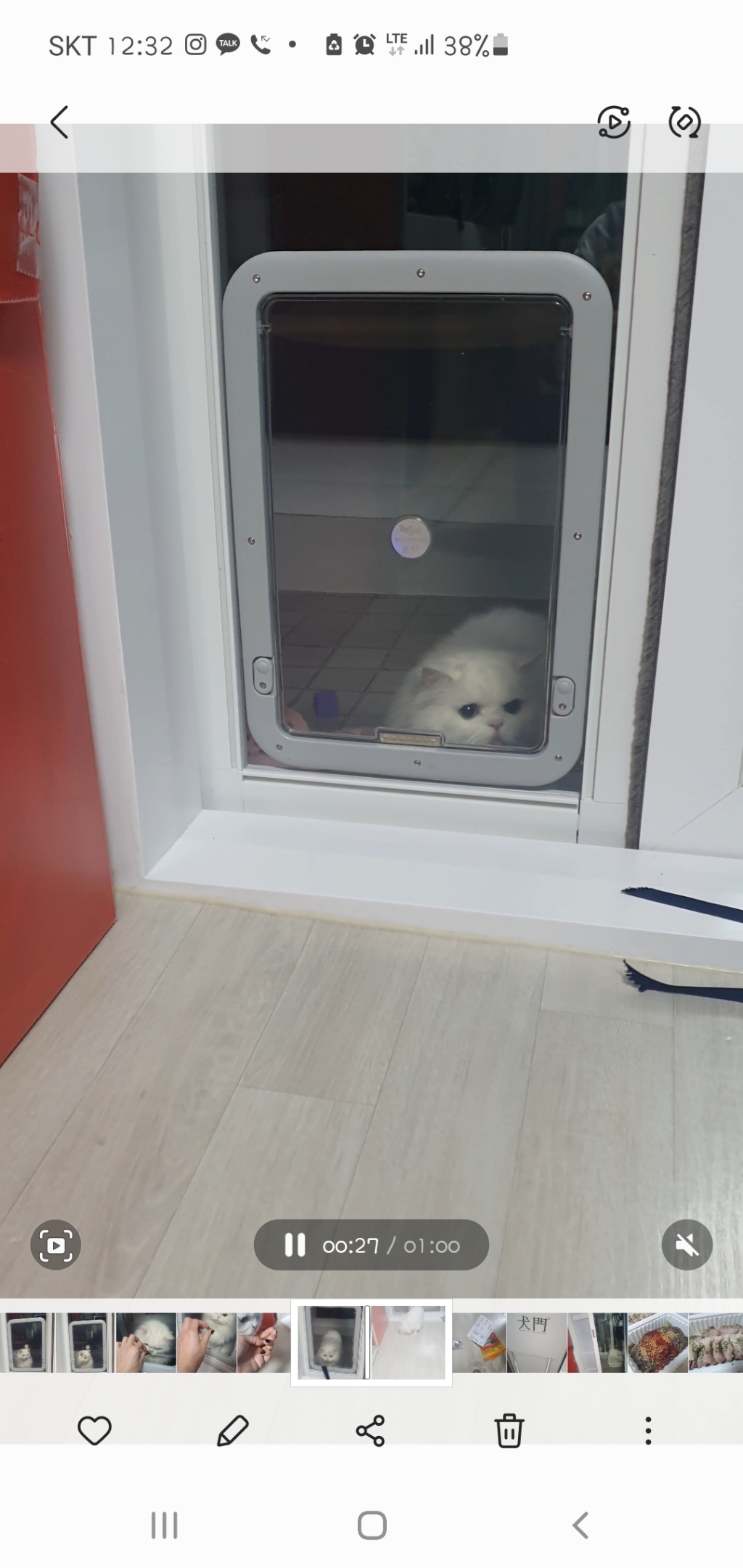 요기펫 강아지 고양이 베란다 펫도어 안전문 방묘문 방묘창 개문 견문 프리미엄 리뷰후기
