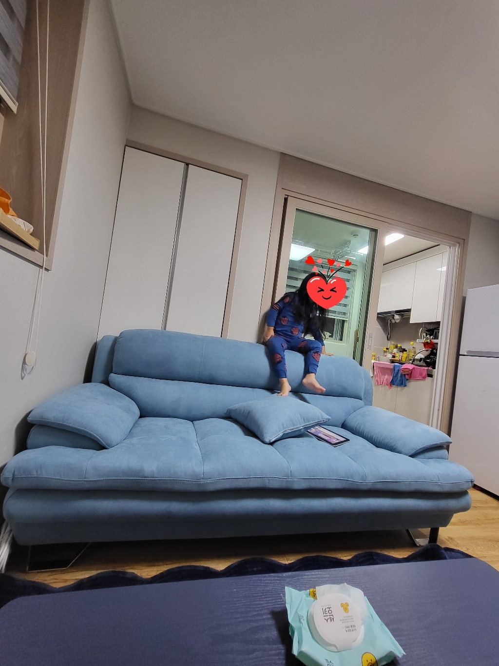 앨리스 3인용 아쿠아텍스 신소재 방수패브릭 이지클린 패브릭소파